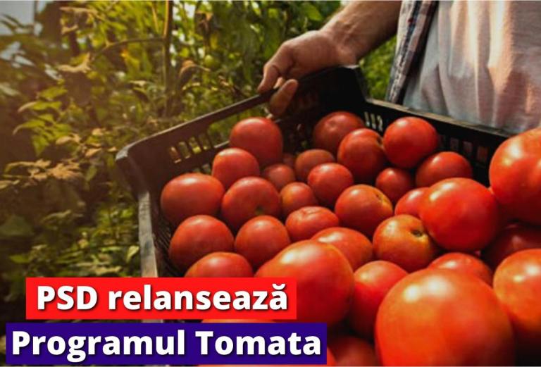 Lucian Trufin: „Relansarea Programului Tomata – Sprijin concret și predictibilitate pentru legumicultorii botoșăneni!”