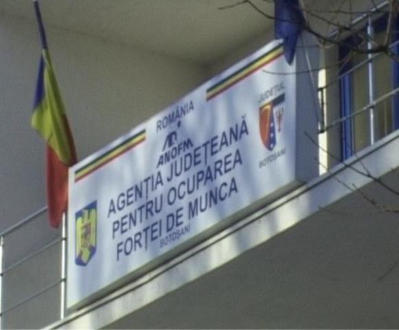 Peste 500 locuri de muncă vacante în județul Botoșani. VEZI lista