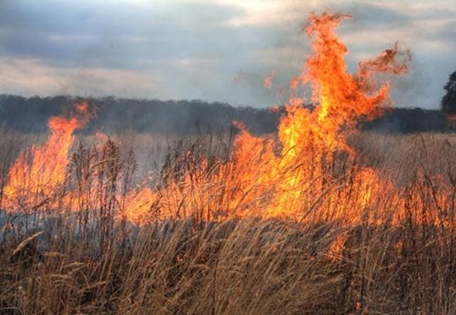 Patru incendii de vegetație uscată și miriște au avut loc, în această după-amiază, în județul Botoșani