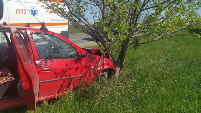 ACCIENT CUCORANI (1) (Copy)