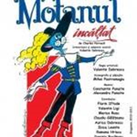 tnr_800x800_46907_Motanul-incaltat-150×150 (Copy)