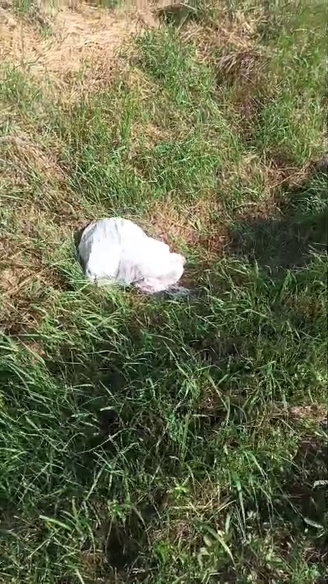 vlcsnap-2025-07-24-12h26m30s385