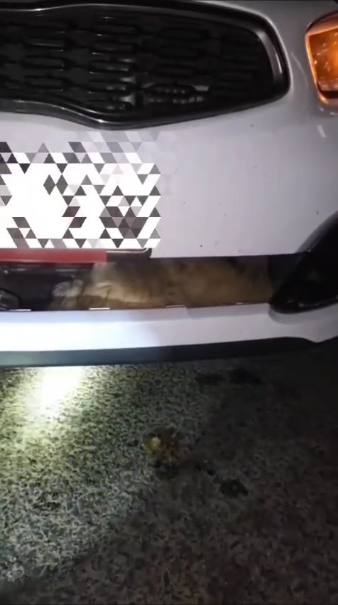 VID-20251028-WA0030(2)